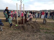 100.výročí vzniku Československé republiky - výsadba stromů Alej republiky na Vlkavě